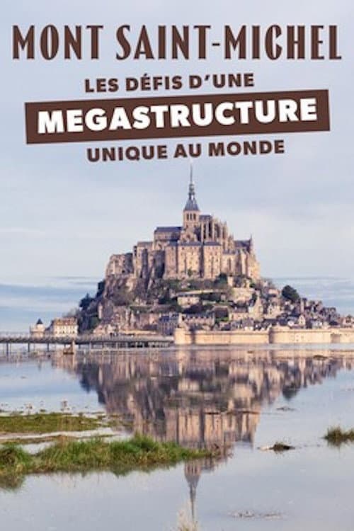 Mont-Saint-Michel : les défis d'une mégastructure unique au monde